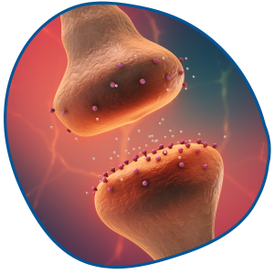 brain receptor graphic