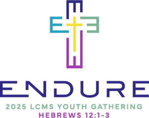 Endure logo