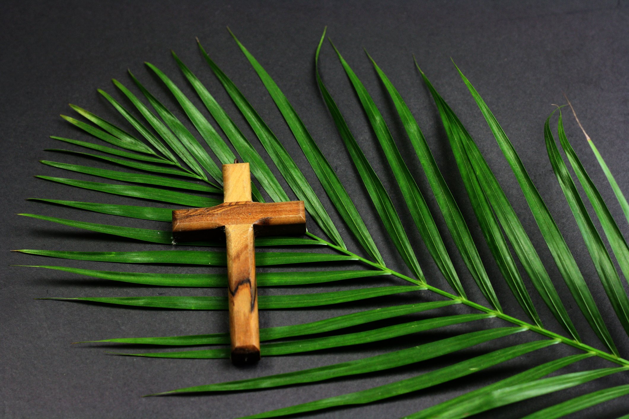 Cross on Palm Frond