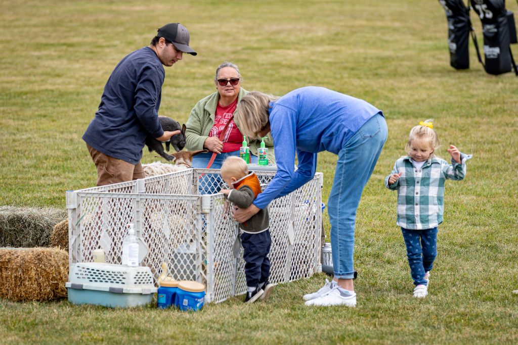 kids my petting farm