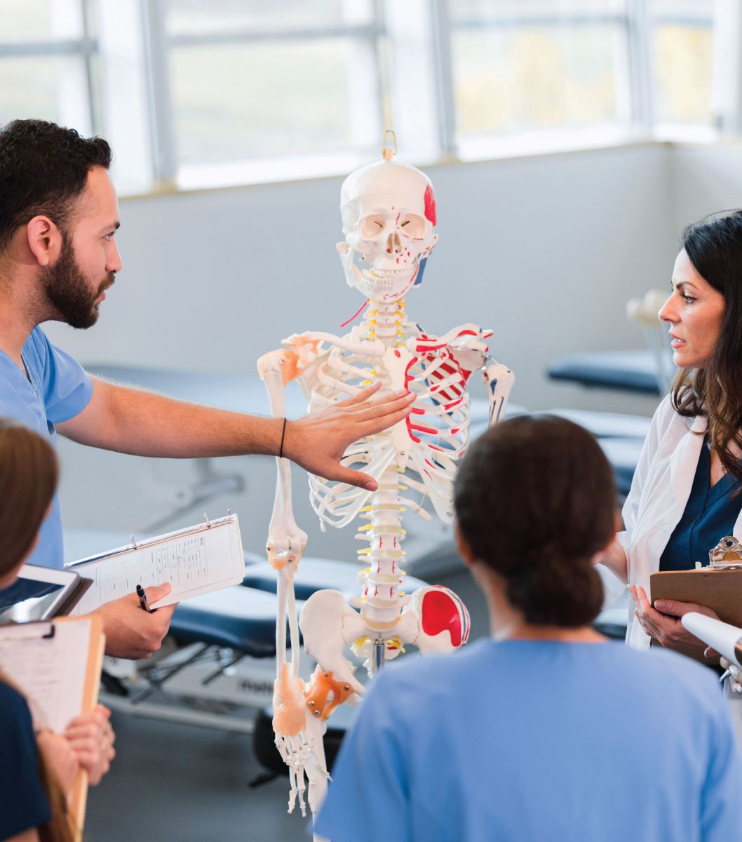 students looking at skeleton