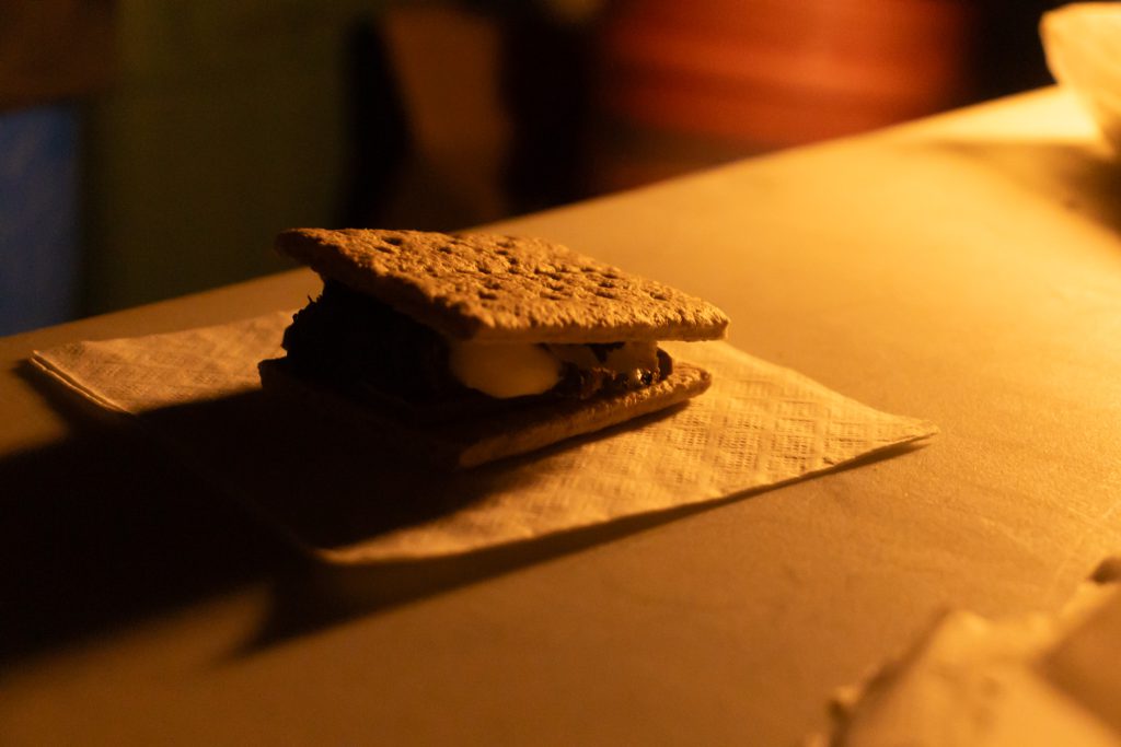 closeup of a smore