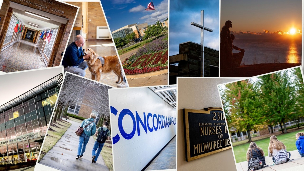 multiple pictures of Concordia together