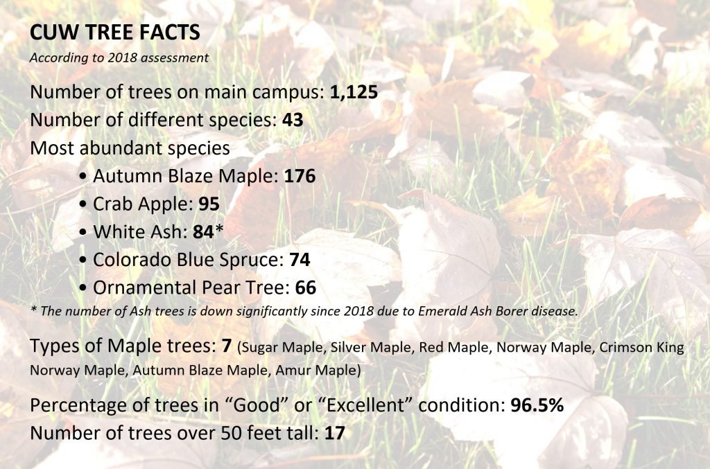 CUW Tree Facts
