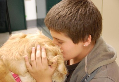 little boy kissing dog