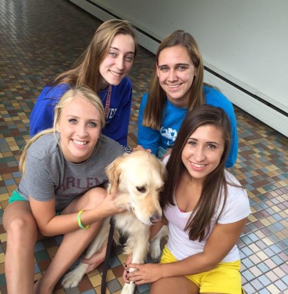 dog with four girls