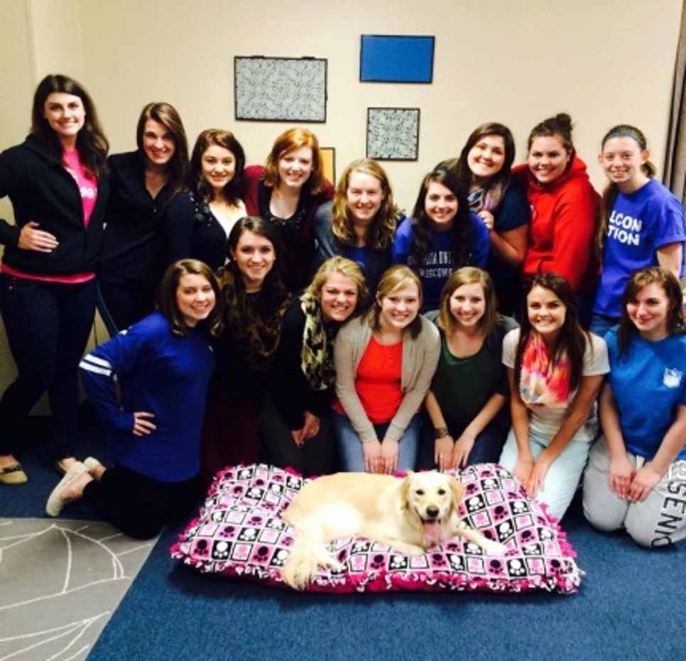 dog with whole group of students