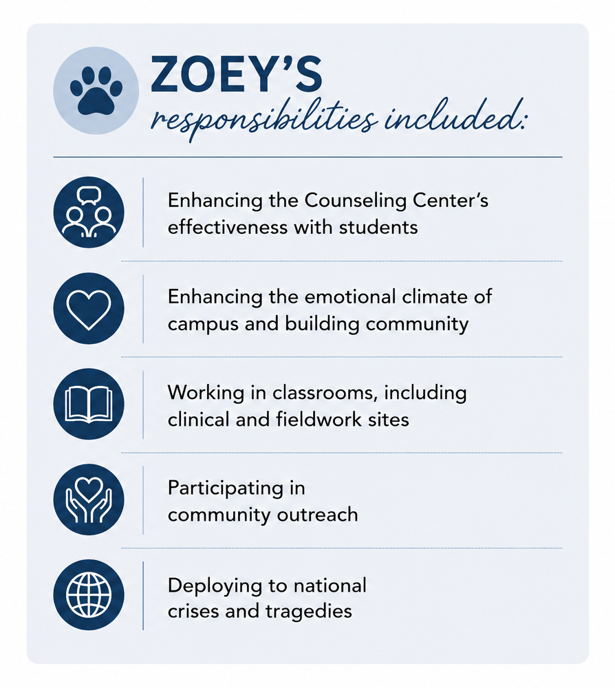 Zoey's job descriptions